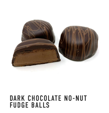 Dark Chocolate No Nut  Fudge Ball